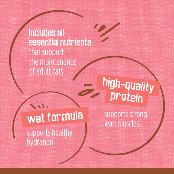 ContentPlus Image 7