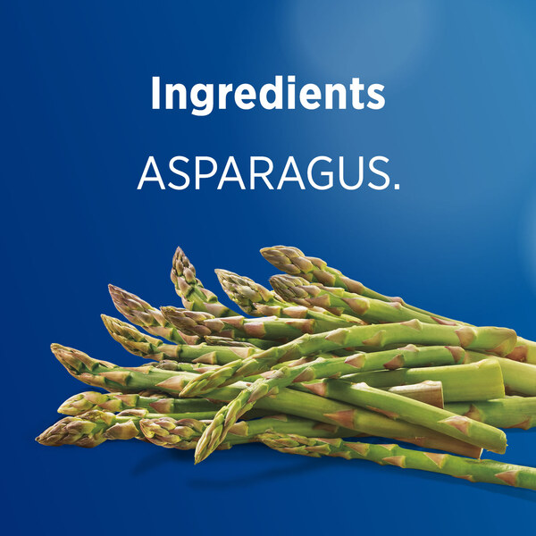 ContentPlus Image 4