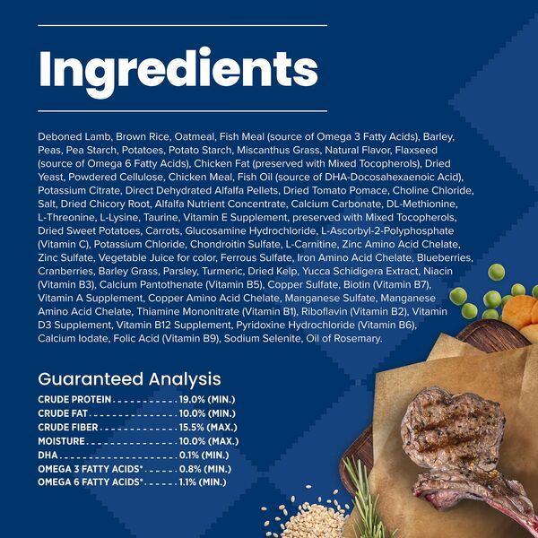 ContentPlus Image 4