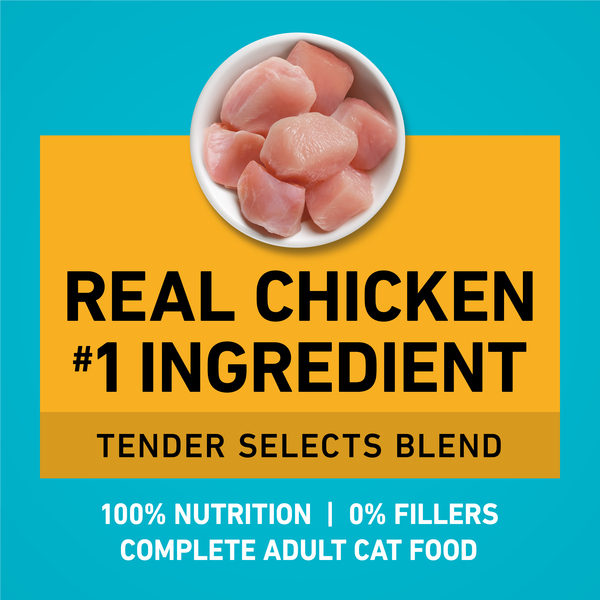 ContentPlus Image 4