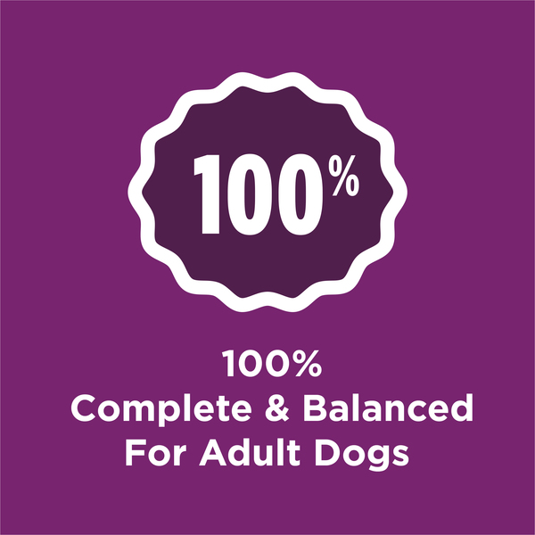 ContentPlus Image 2