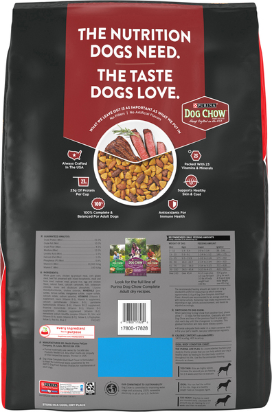 Target dog chow on sale