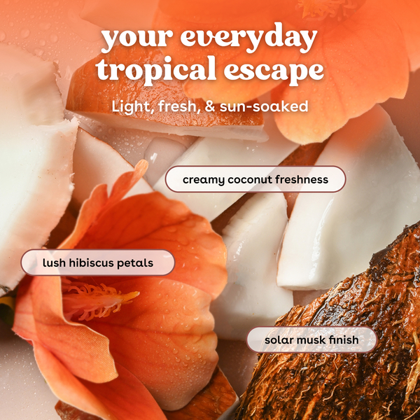ContentPlus Image 1