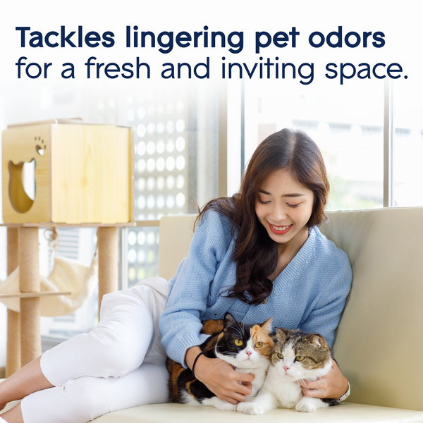 ContentPlus Image 3