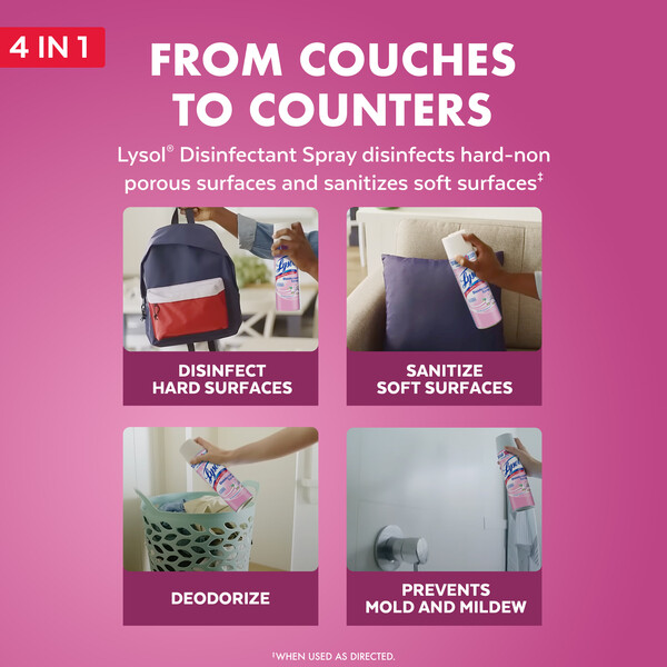ContentPlus Image 4