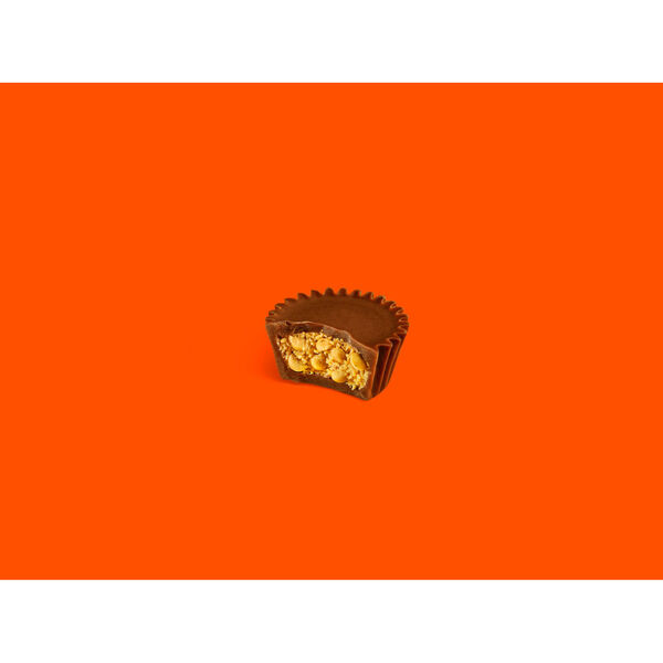 ContentPlus Image 1