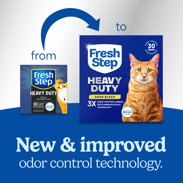 ContentPlus Image 1