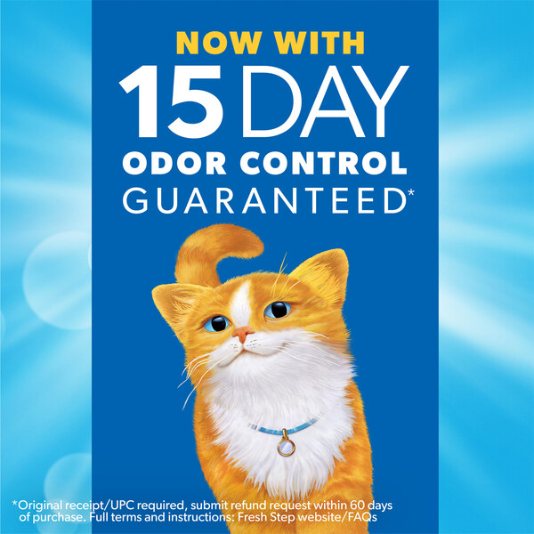 ContentPlus Image 1