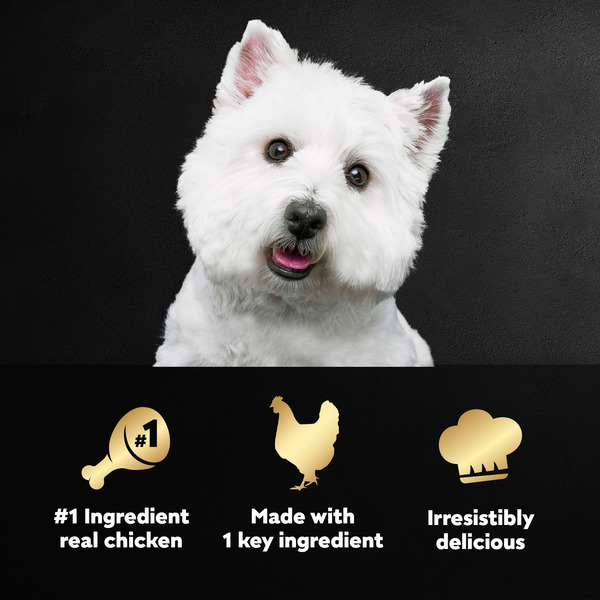 ContentPlus Image 4