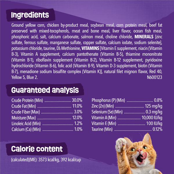 ContentPlus Image 5