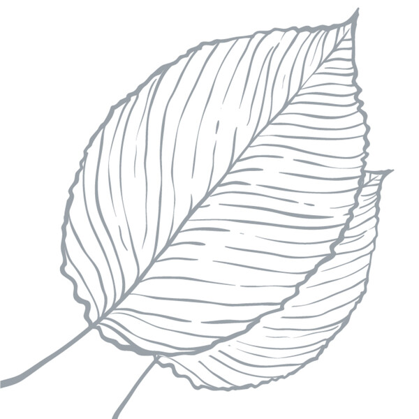 ContentPlus Image 5