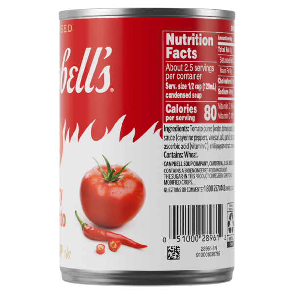 ContentPlus Image 6