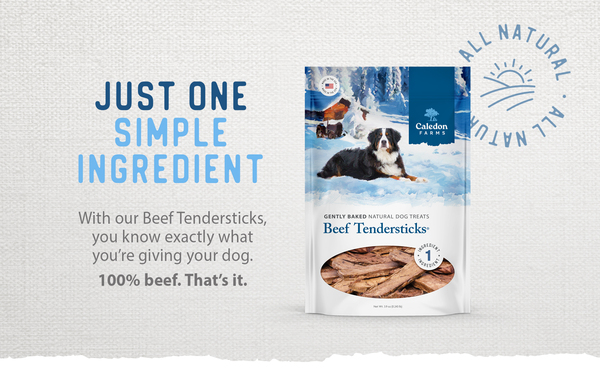 ContentPlus Image 1