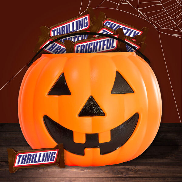 ContentPlus Image 3