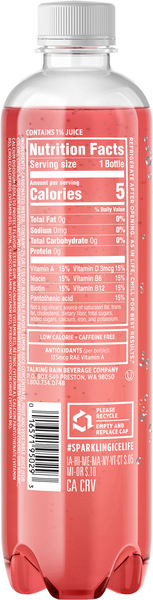 Back of Pack