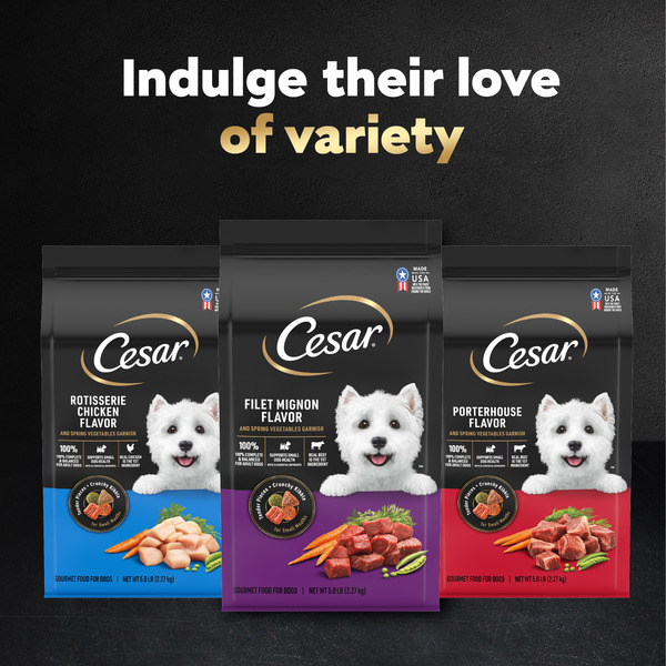 Cesar dog food big bag store