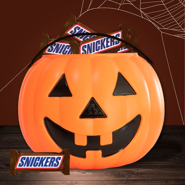 ContentPlus Image 3