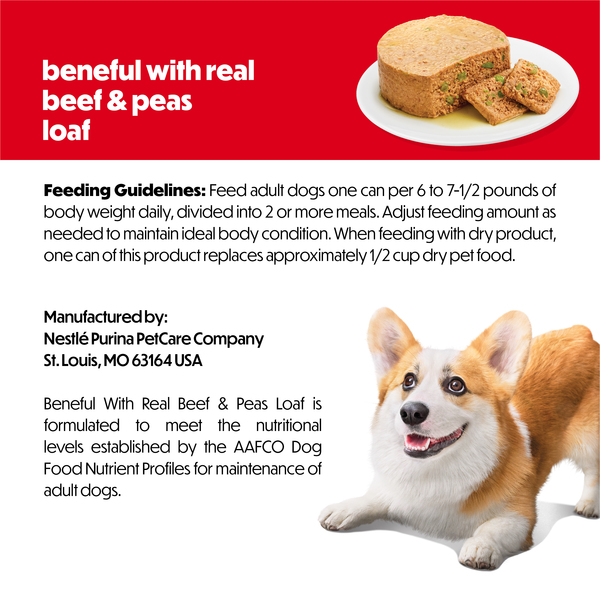 ContentPlus Image 6