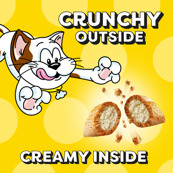 ContentPlus Image 1
