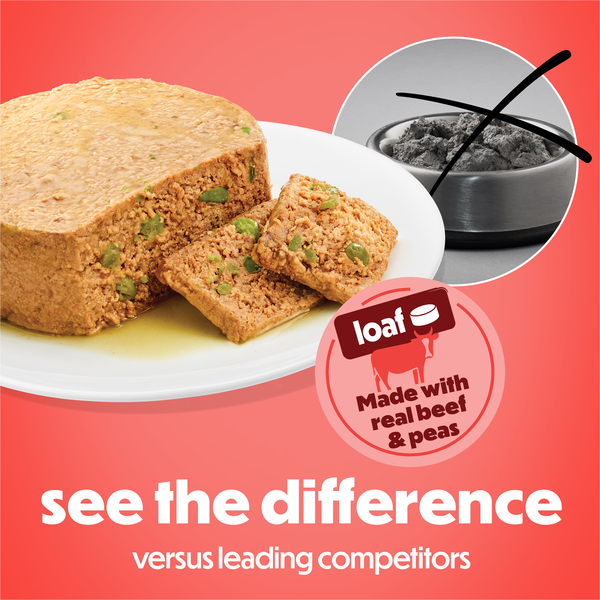 ContentPlus Image 2