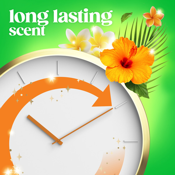 ContentPlus Image 5