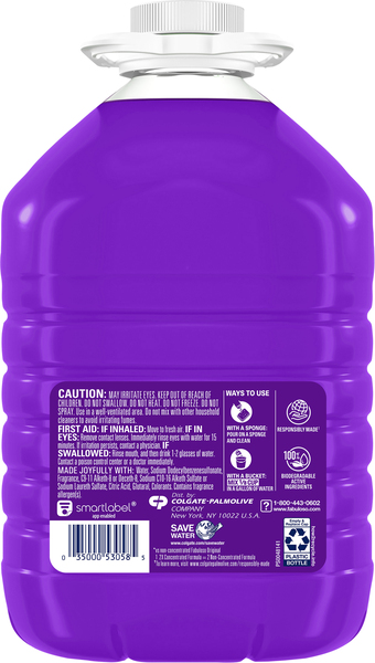 Back of Pack