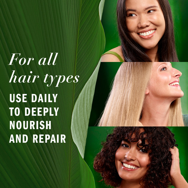 ContentPlus Image 6