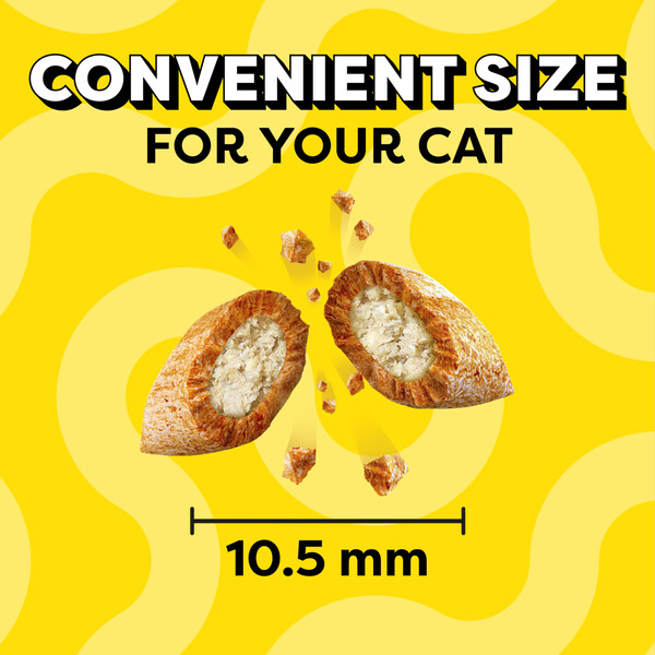 ContentPlus Image 2