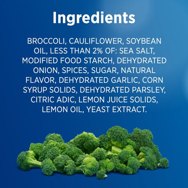 ContentPlus Image 4