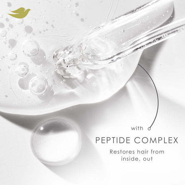 ContentPlus Image 5
