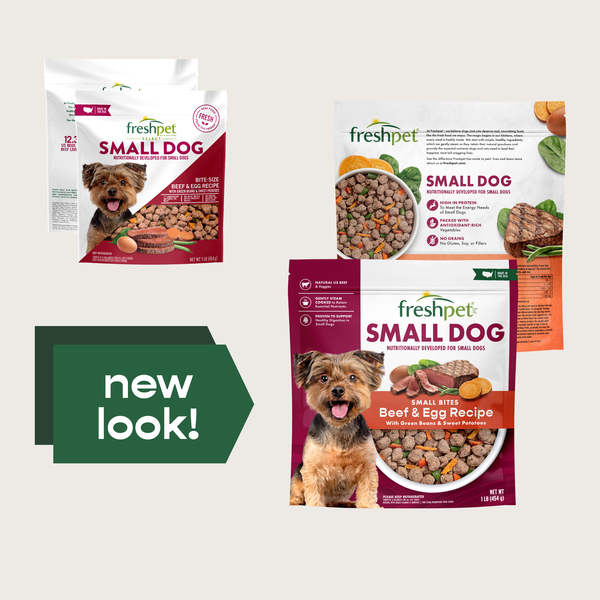 Small dog pet food 2025
