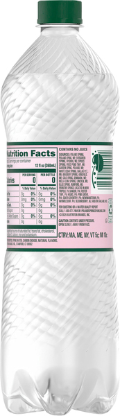 Back of Pack
