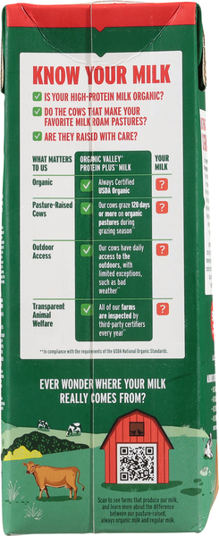 Back of Pack