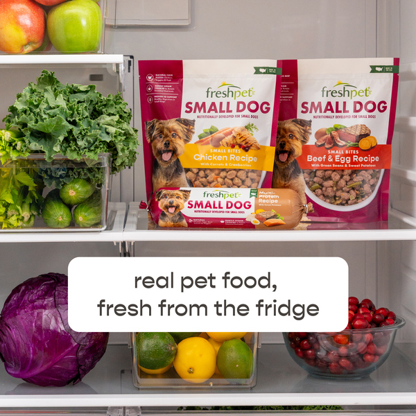 Freshpet select for small sale dogs