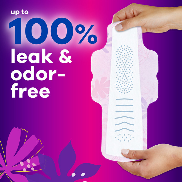 ContentPlus Image 2