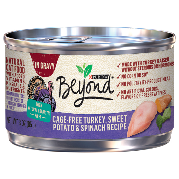 Beyond wet 2025 cat food