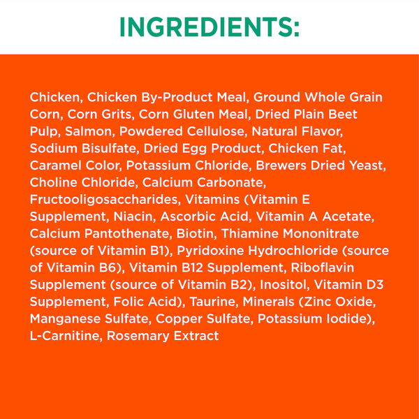 ContentPlus Image 4