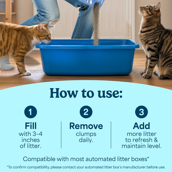 ContentPlus Image 3