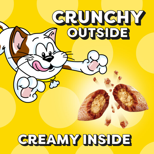 ContentPlus Image 1