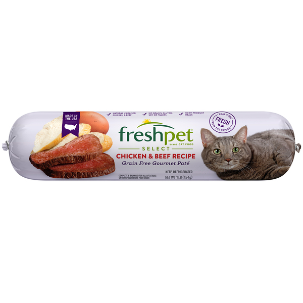 Should cat food be refrigerated discount