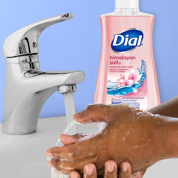 Himalayan salt dial soap sales