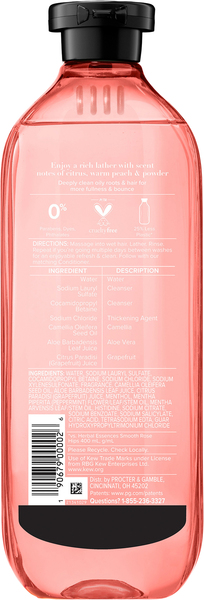 Back of Pack