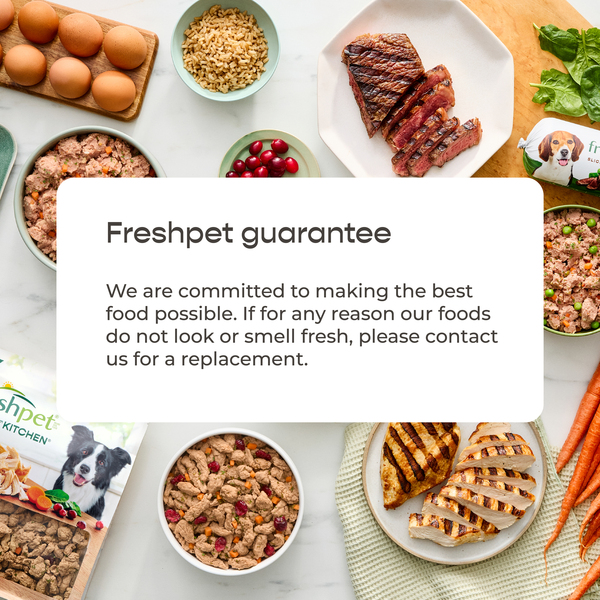 ContentPlus Image 7