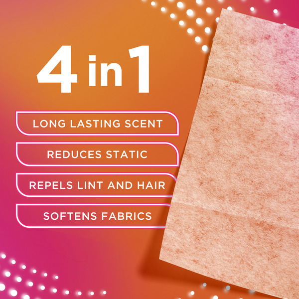 ContentPlus Image 3