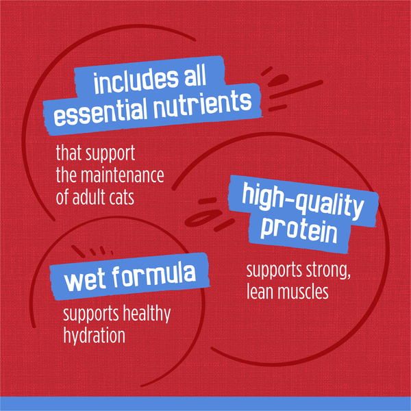 ContentPlus Image 7