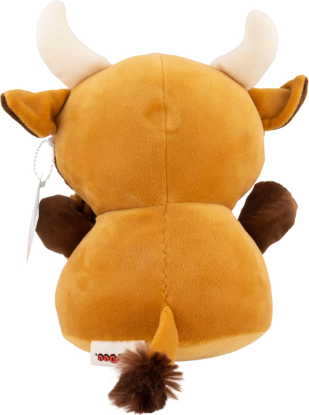 Back of Pack