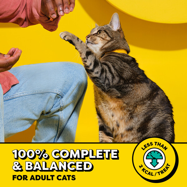 ContentPlus Image 3