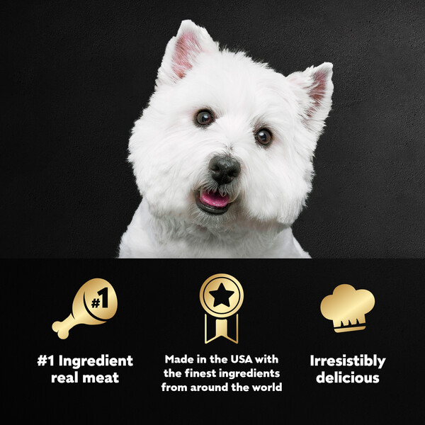 ContentPlus Image 3