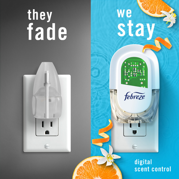 ContentPlus Image 3