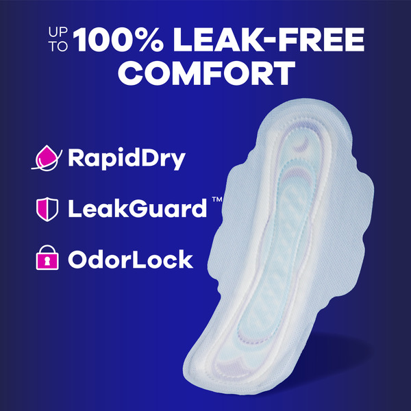 ContentPlus Image 1